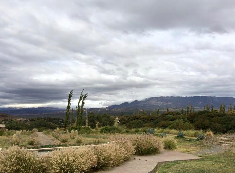 ../Images/z.Grace Cafayate (5).jpg